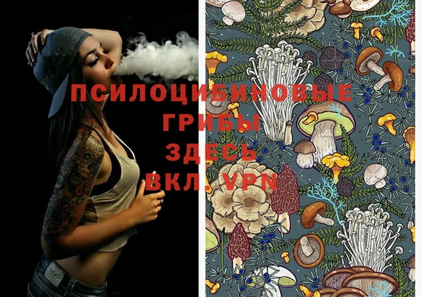 ешки Абаза