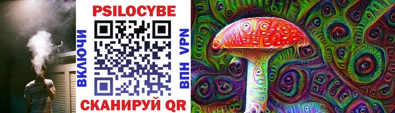Псилоцибиновые грибы Psilocybe Лиски